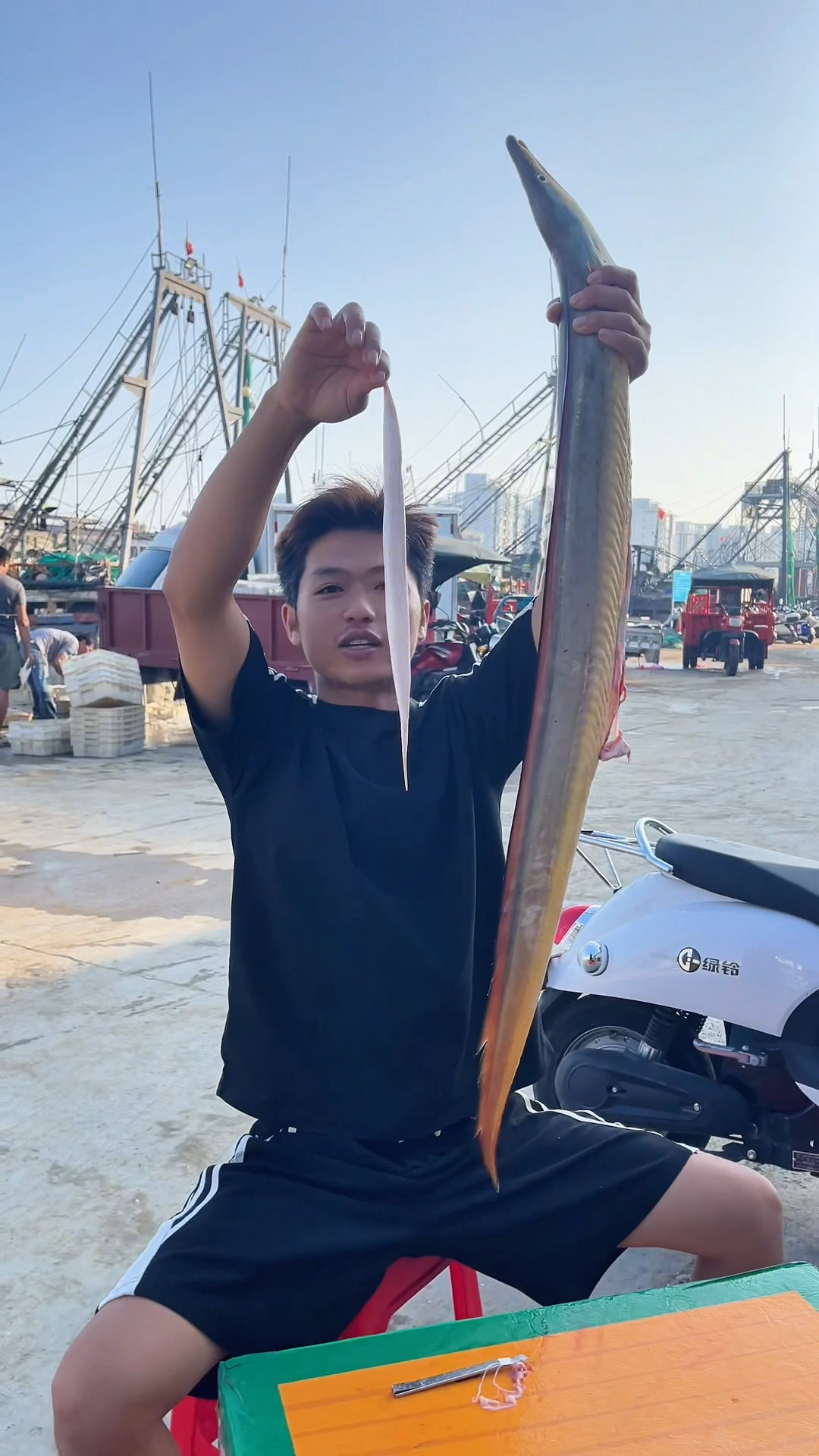 野生黄金鳗鱼胶