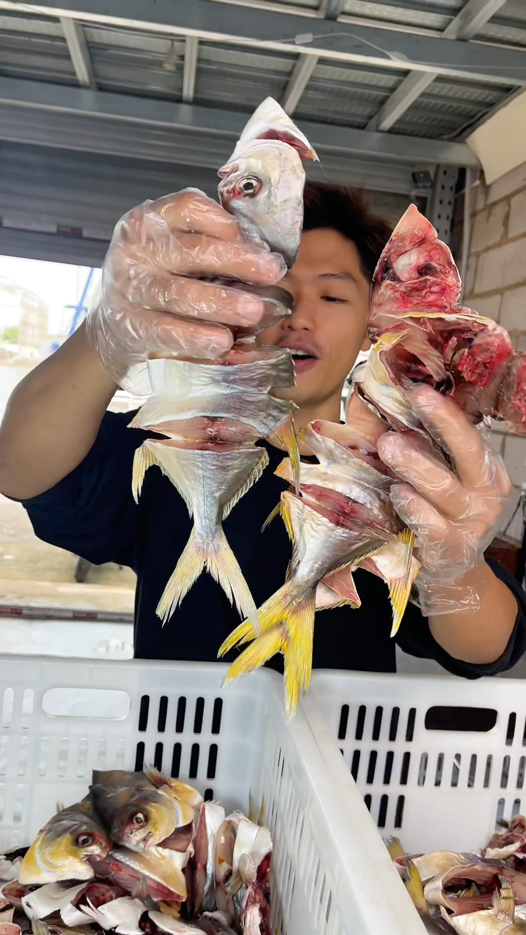 三成干野生金昌刚晒好,随便煎一下味道太好吃了#好吃又解馋