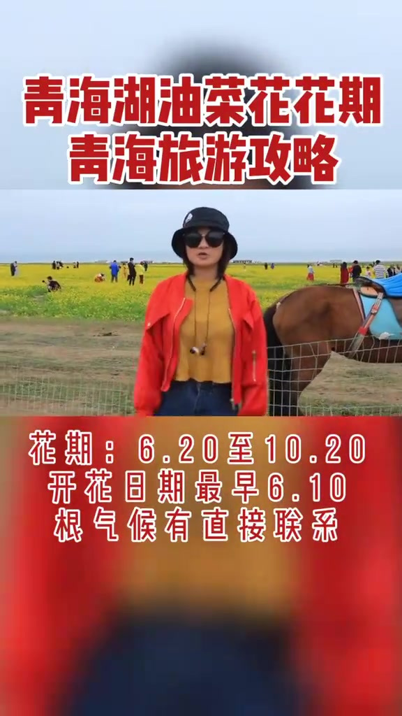 那些一直私信问我青海湖油菜花开了没有问题的,统一看这个视频