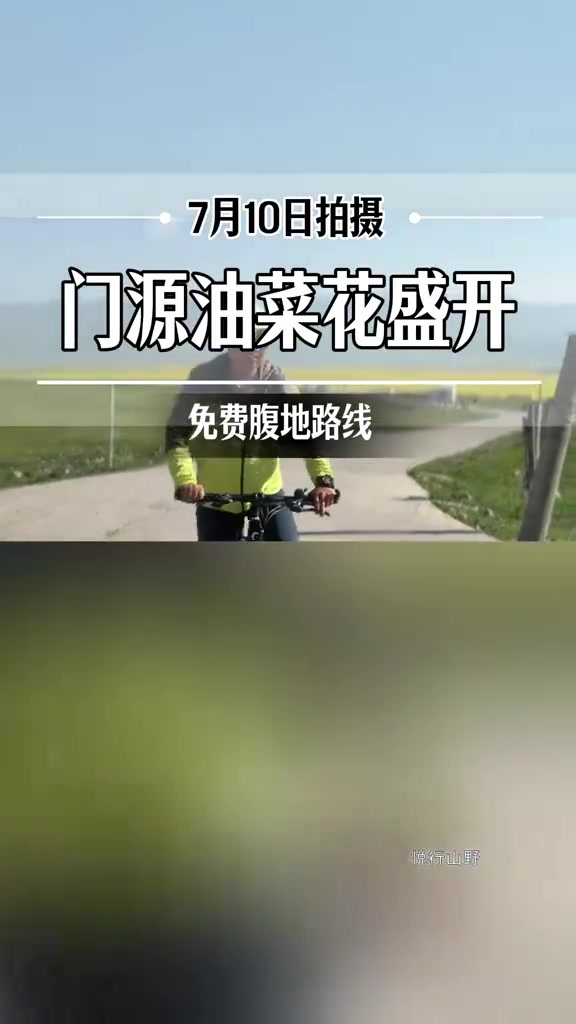 门源油菜花免费自驾玩法