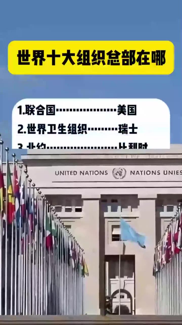 世界十大组织总部在哪
