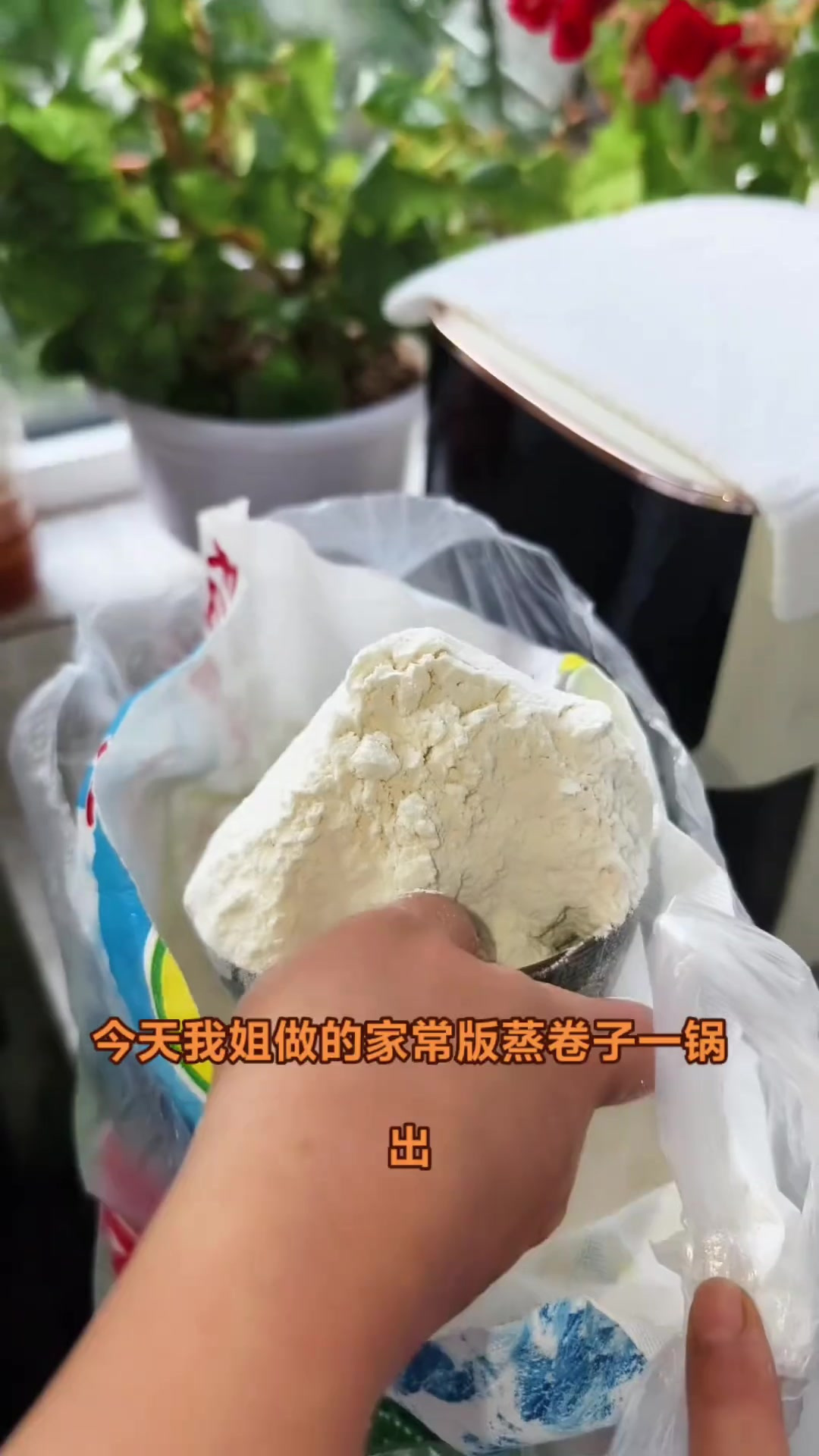 普通的家常菜都是家的味道,今天我姐做的东北家常版蒸卷子一锅出