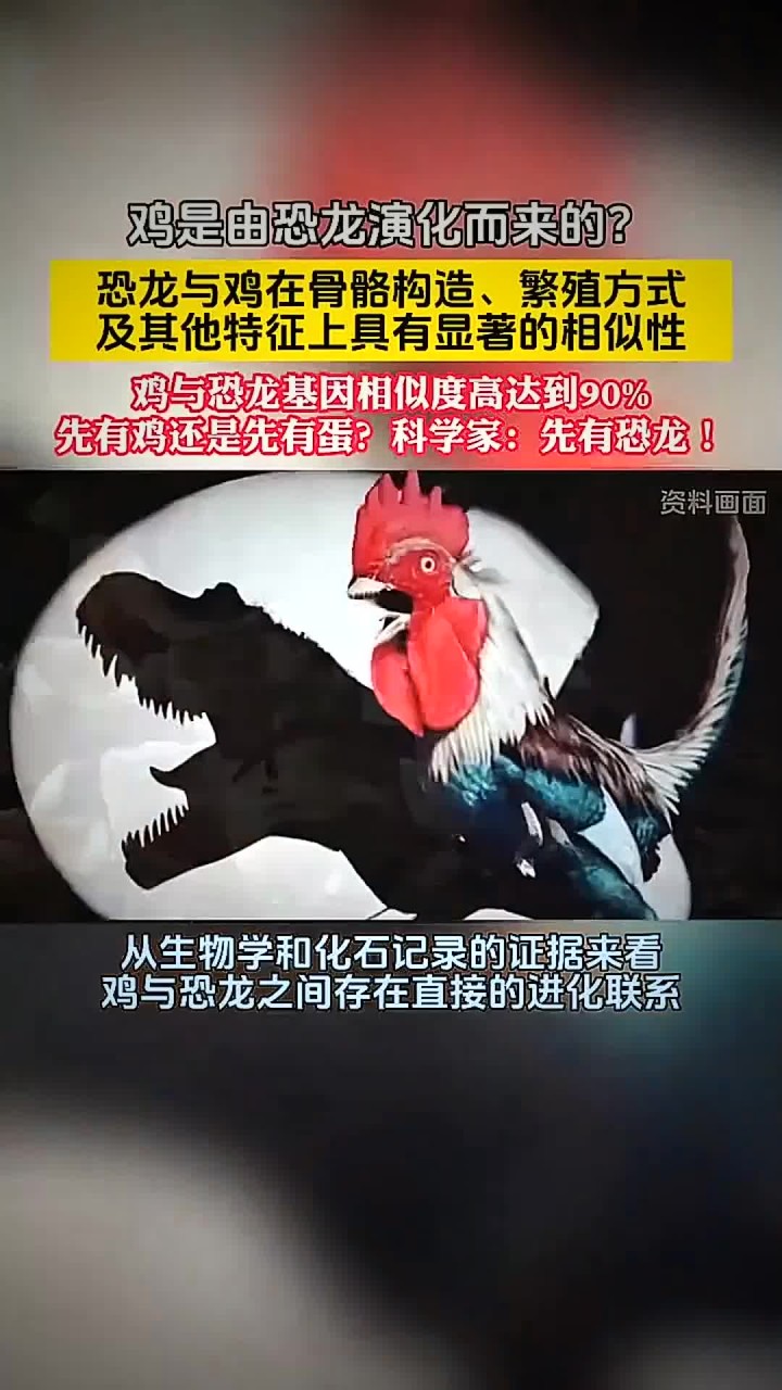 鸡是恐龙的后裔?科学家:恐龙并没有完全灭绝!