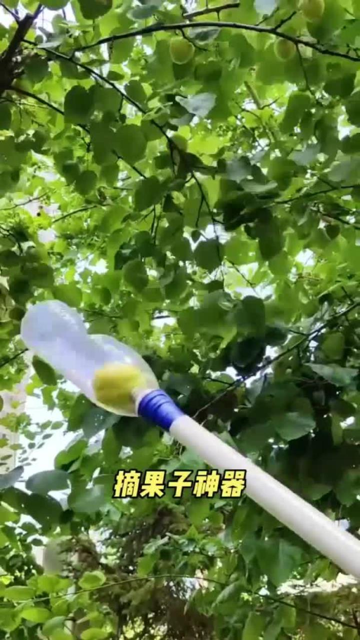 空水瓶摘水果:自制神器方便采摘