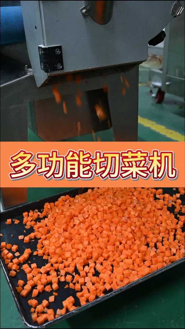 多功能切菜机