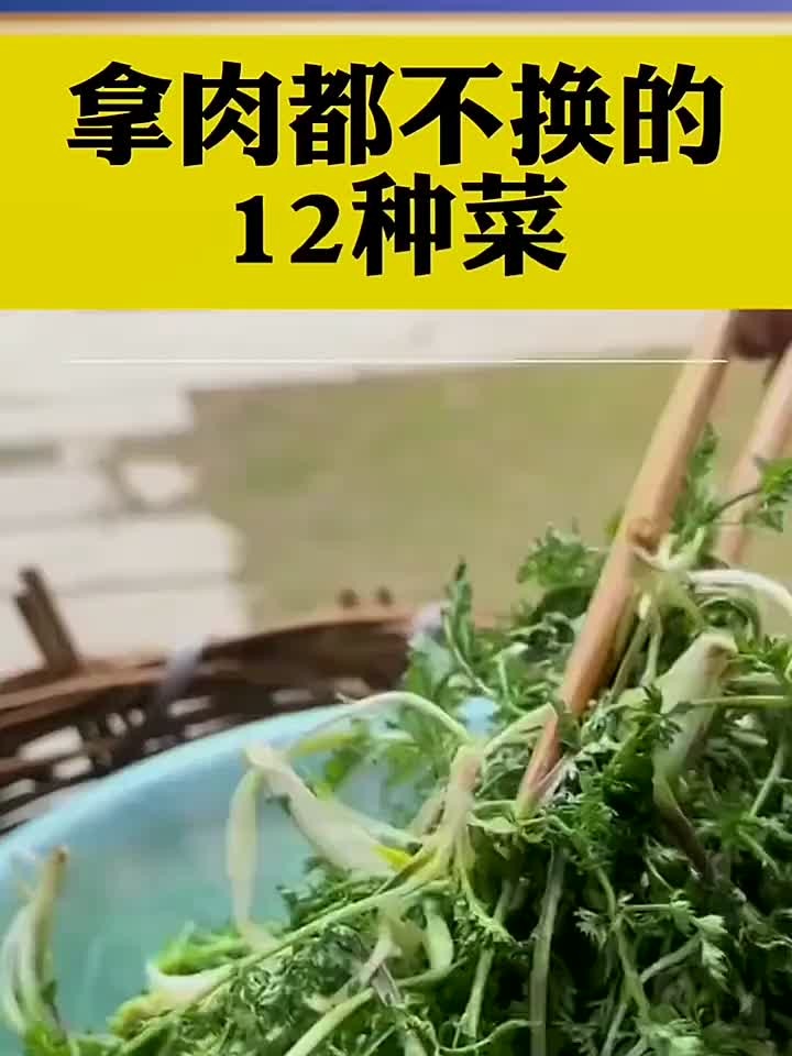 拿肉都不换的十二种菜
