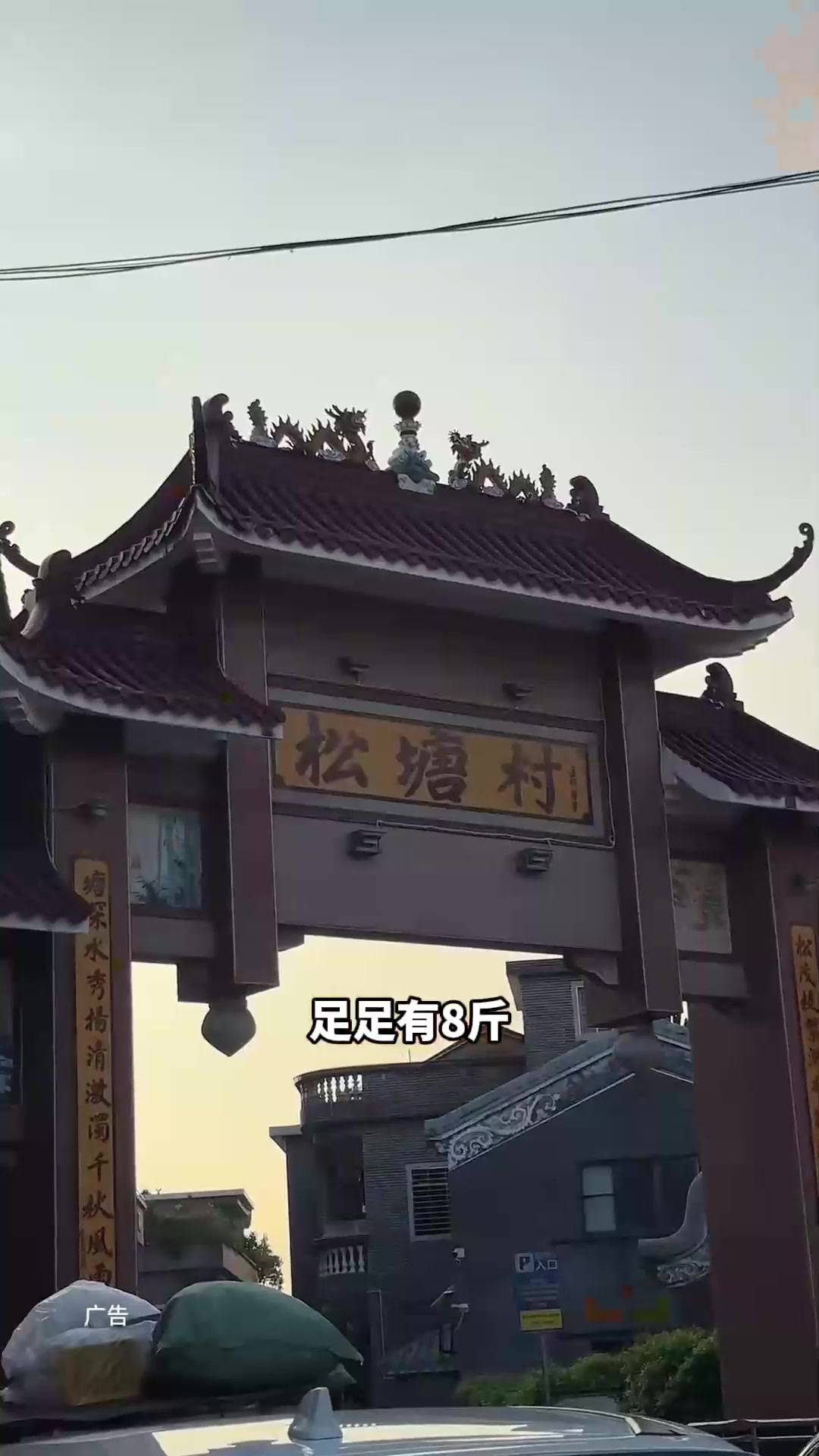 在西樵88就能吃到一整只烧鹅啦！太夸张了吧！_2