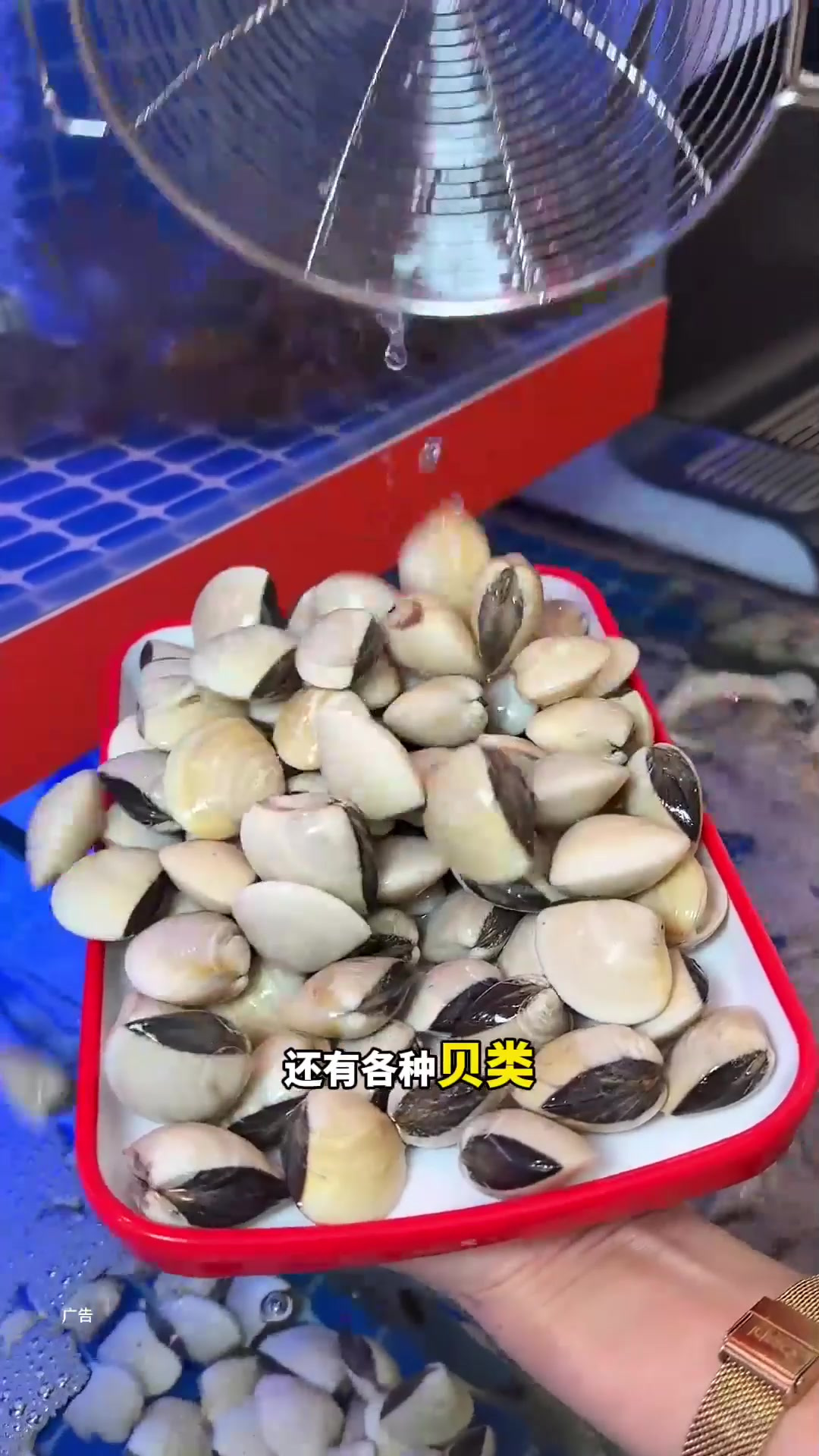 不是吧，桂城也有.海鲜肥牛自助餐了！太夸张了吧！抵食3