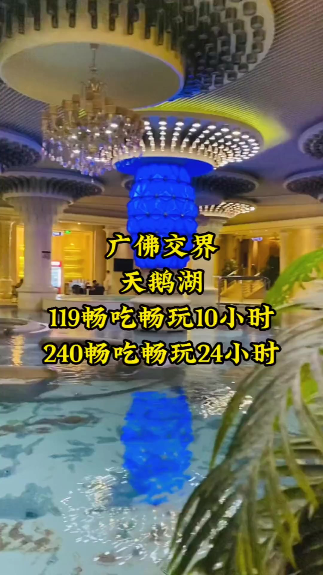 到底是什么原因大家都喜欢来天鹅湖，白天畅玩小时，早中晚宵夜畅