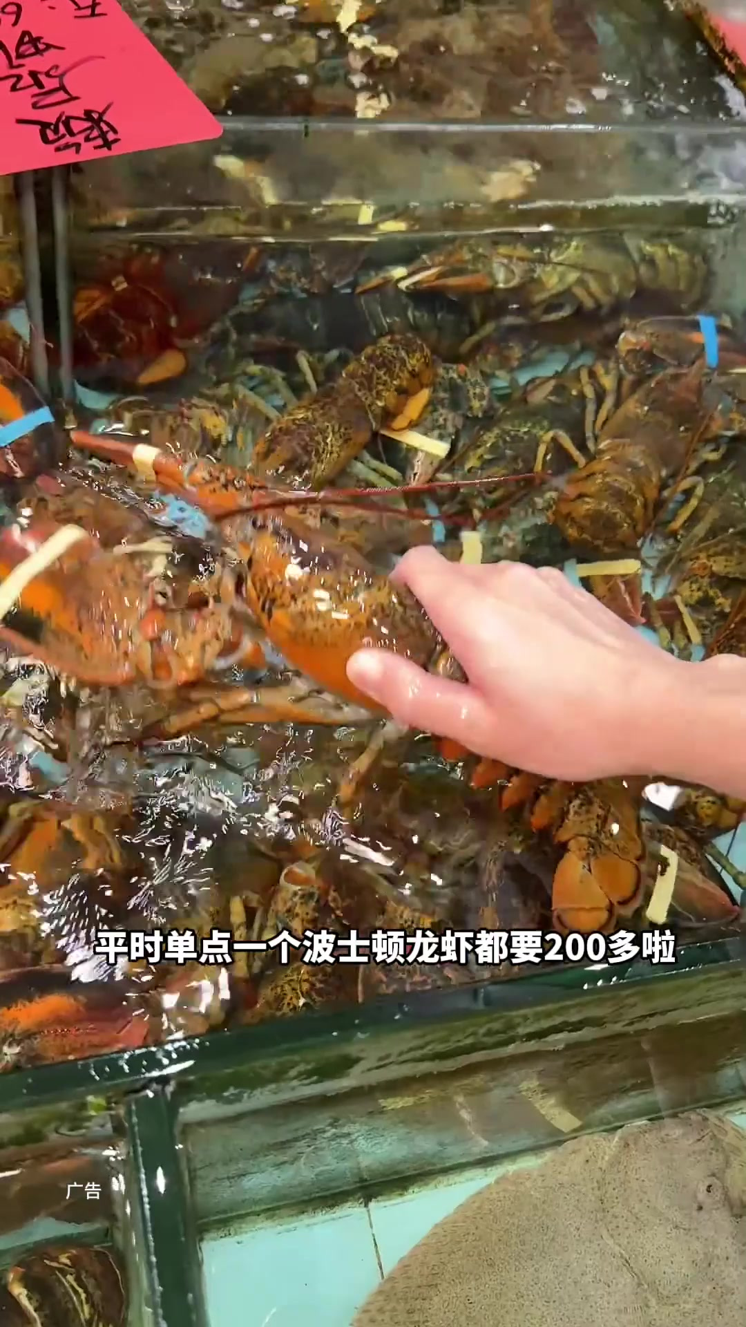 不是吧,人均多吃波士顿龙虾海鲜套餐!罗村金百乐又益街坊啦!