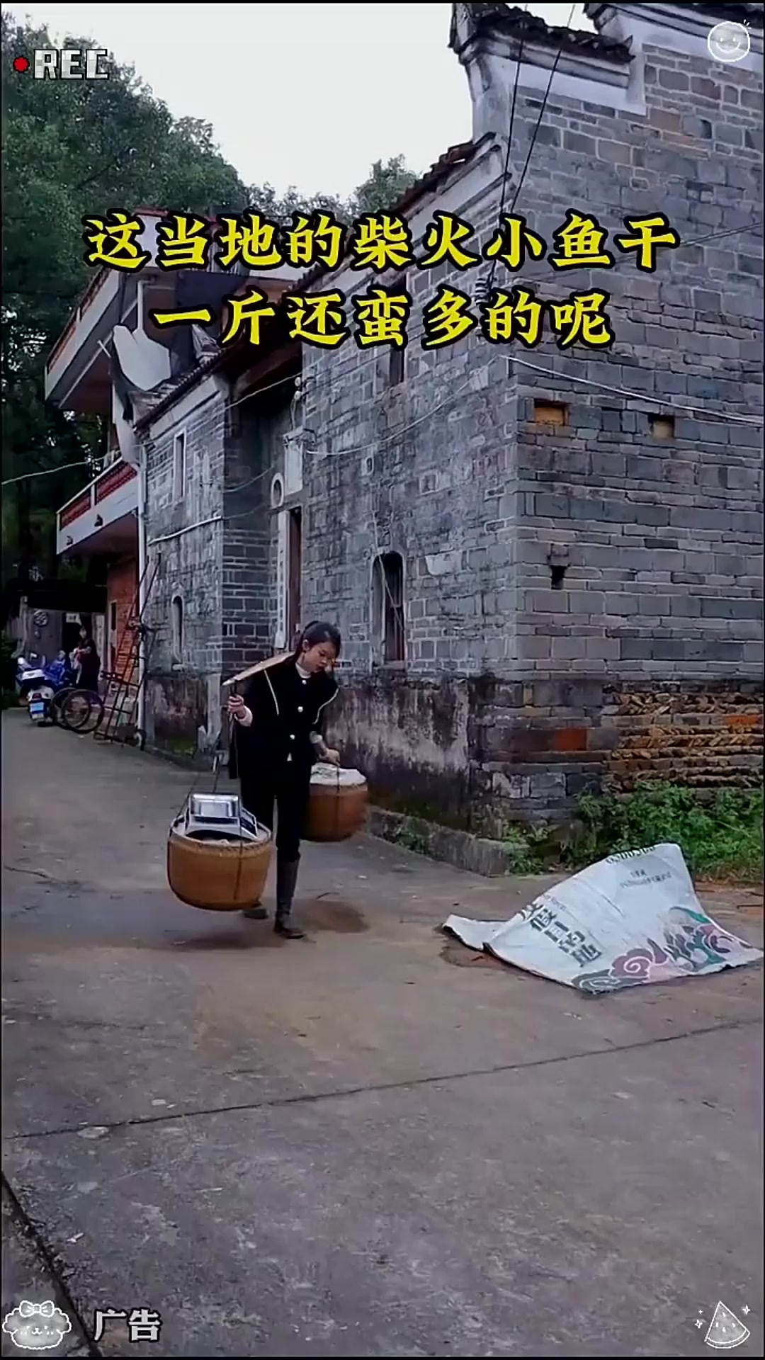 淡干公鱼干鲜美，煎炸爆炒都好吃「法律解读」