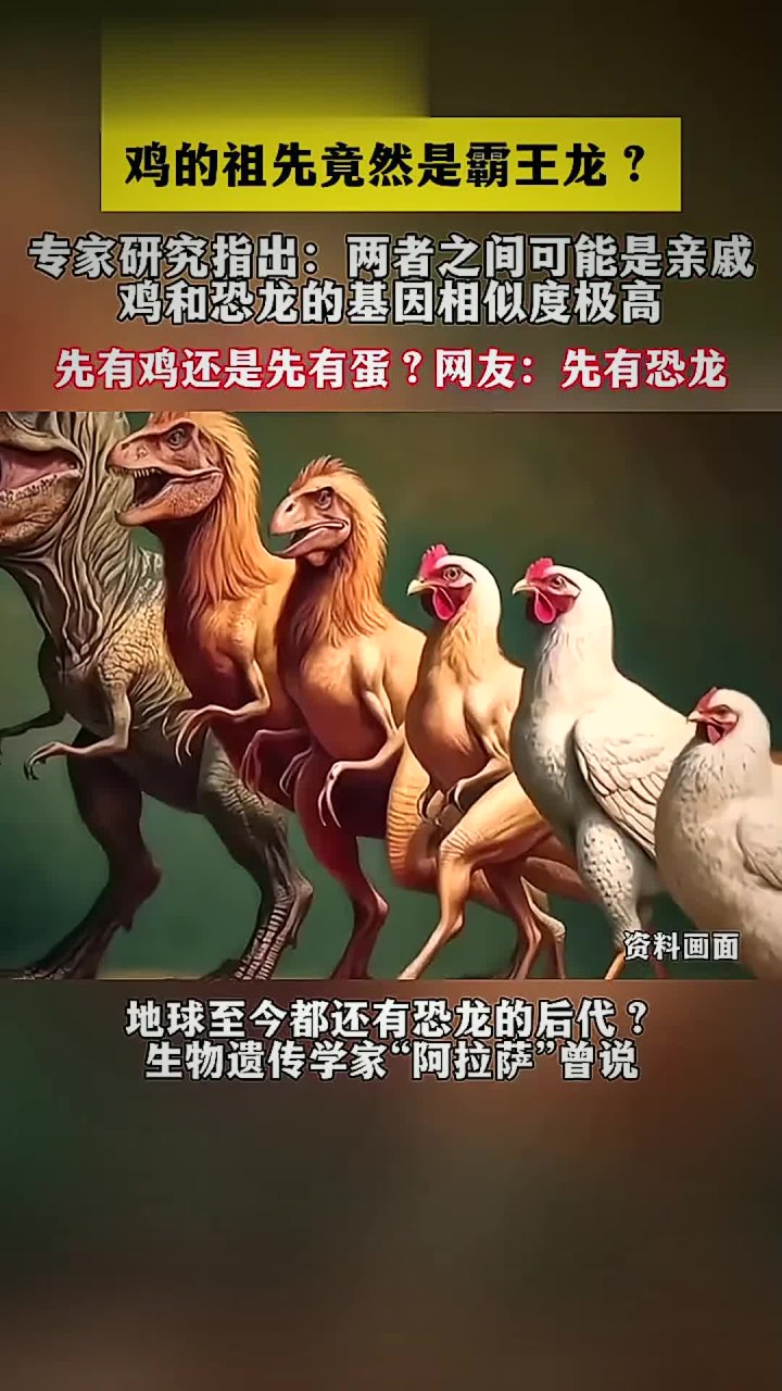 鸡的祖先是曾经的地球霸主?科学家:恐龙并没有完全灭绝