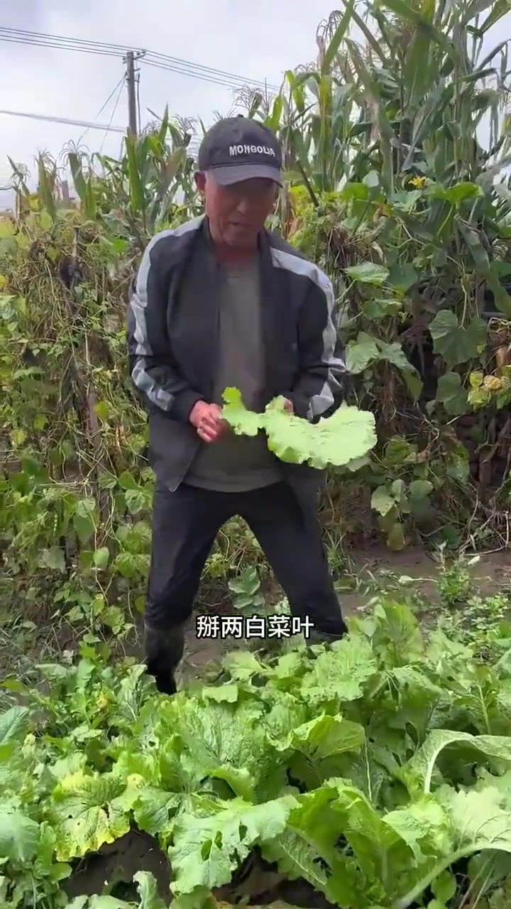 鱼子酱大饭包，一口吃不下，真满足