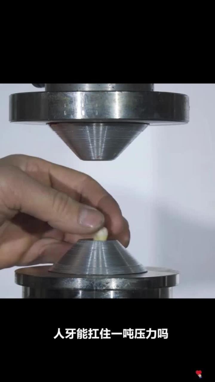 人类牙齿有多坚硬?竟能抗住一吨压力,与动物相比又如何?