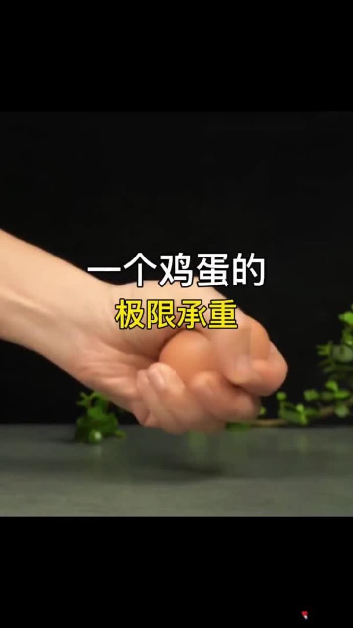 一个鸡蛋的极限承重