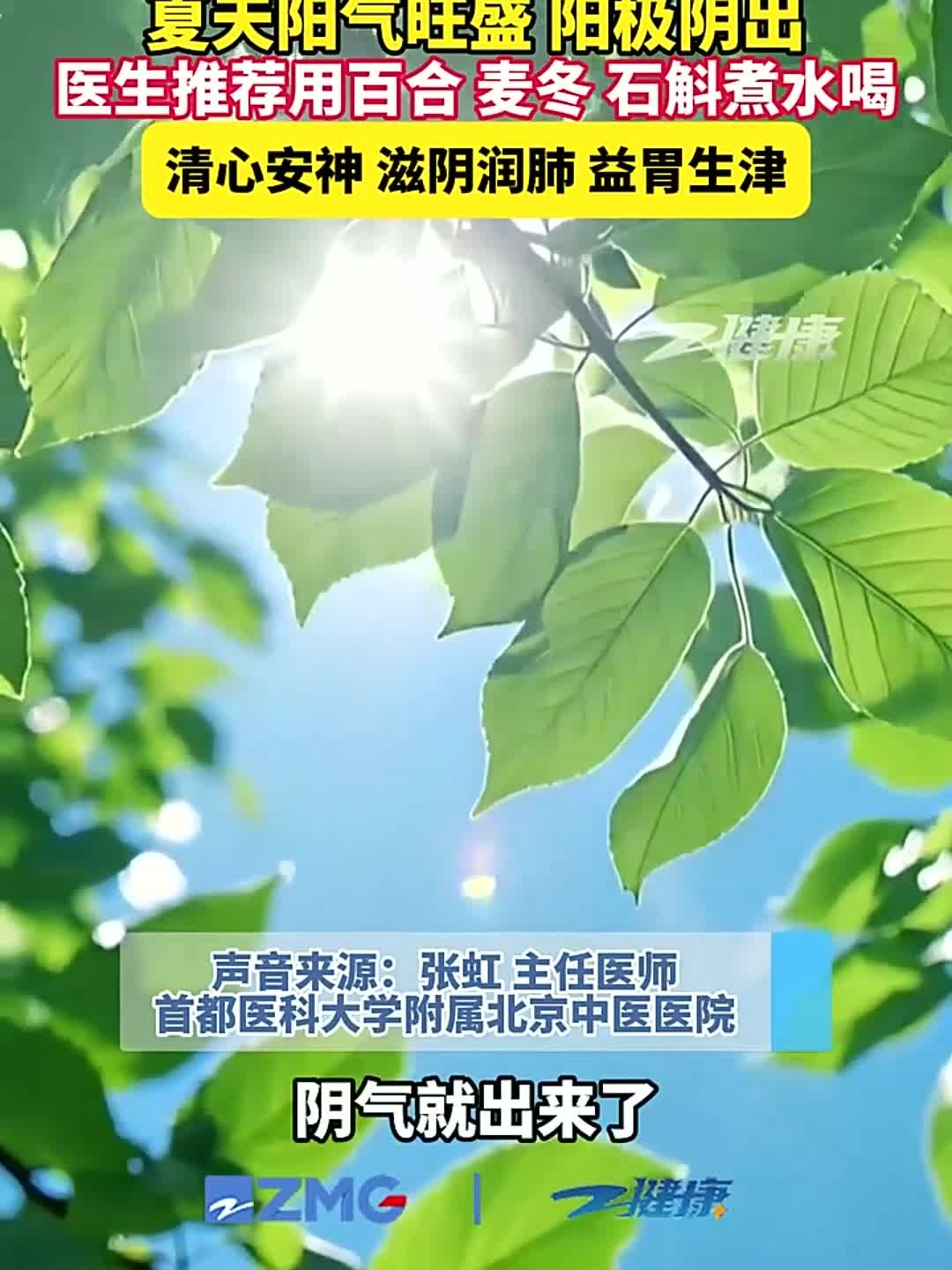 夏天阳气旺盛、阳极阴出,医生推荐用百合、麦冬、石斛煮水喝,清