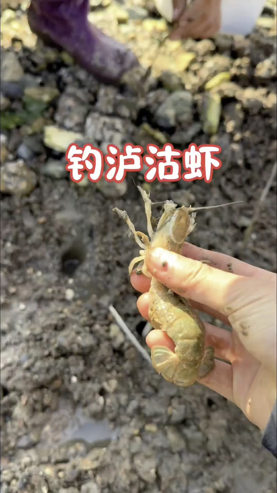 解锁新项目,钓泸沽虾