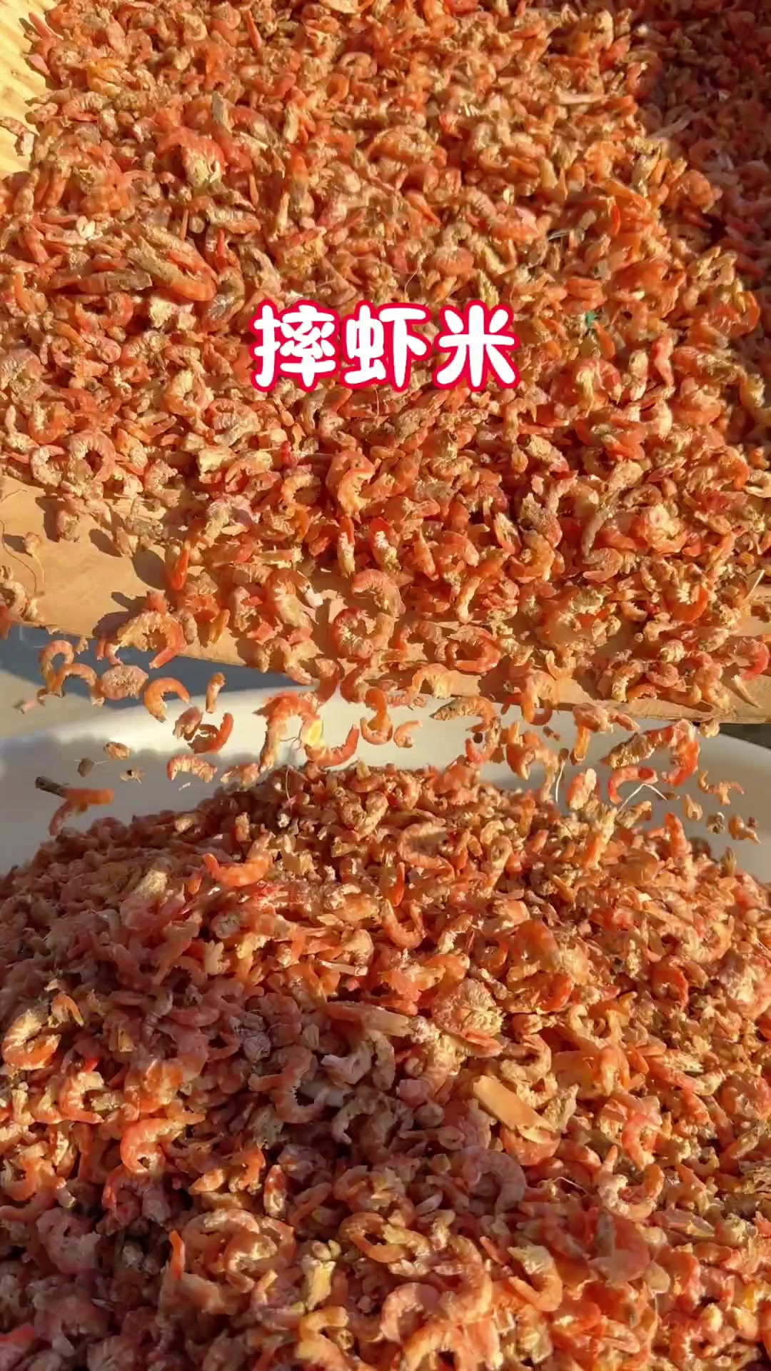 今天带大家看看,海岛传统的手工工艺的海米,是怎么摔出来的,海
