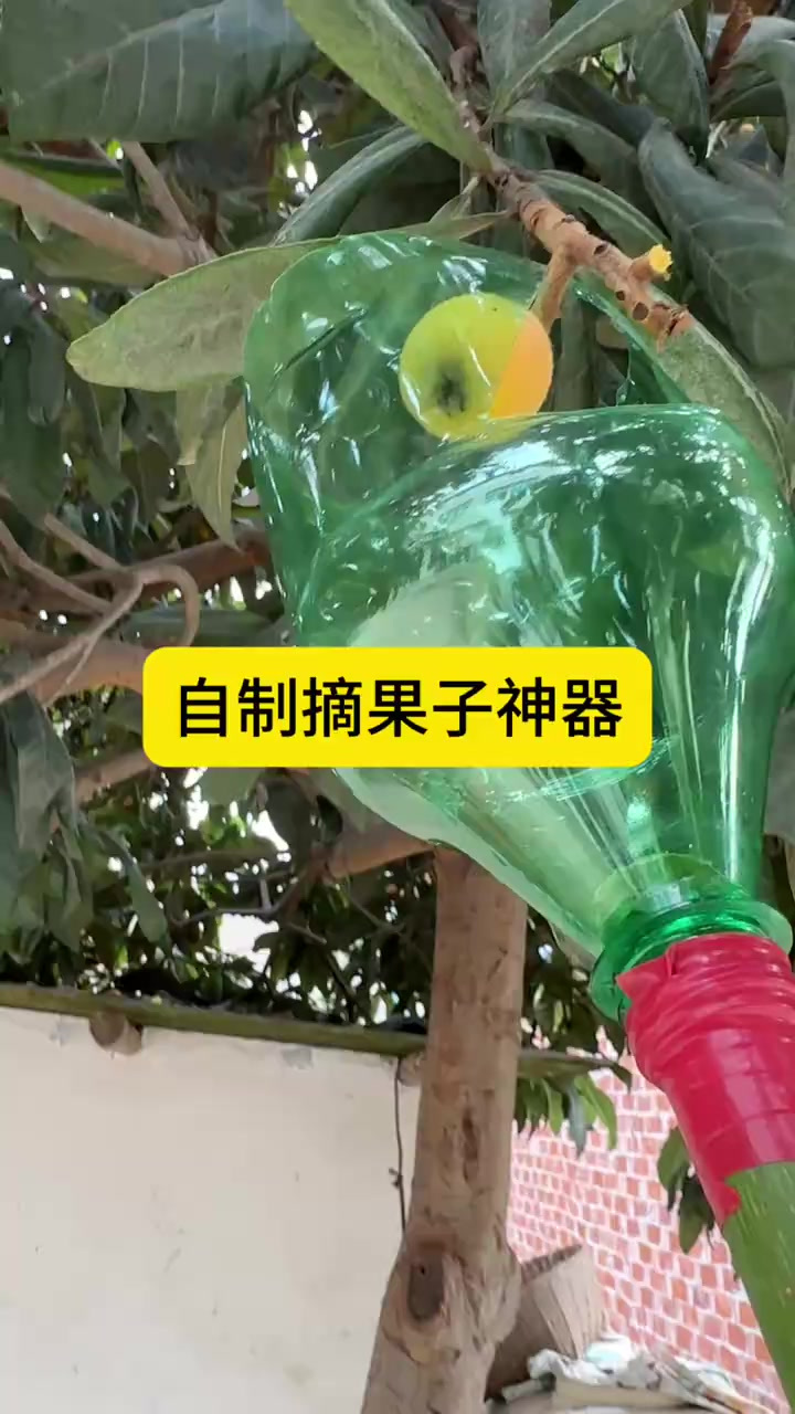 自制摘果子神器 (1)