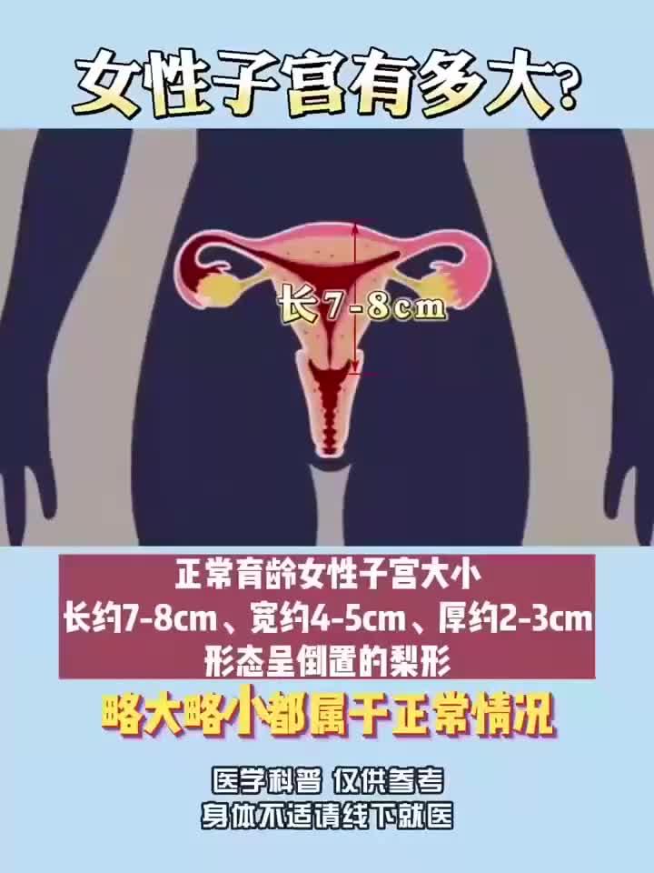 女性私密部位结构解析视频
