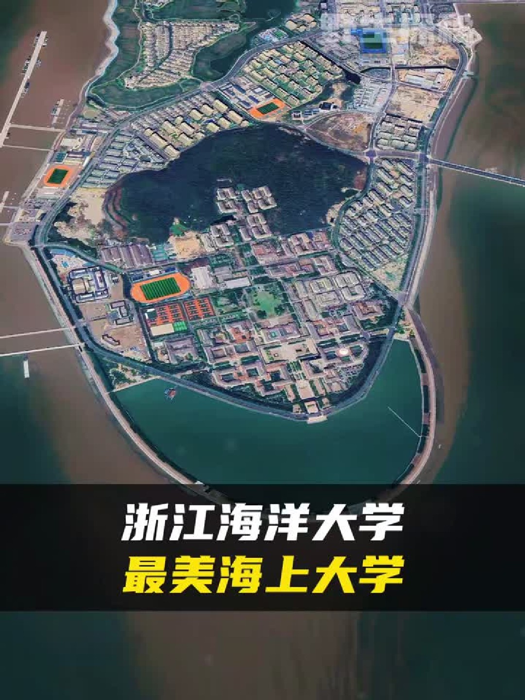 浙江海洋大学在舟山火了，网友直呼：这才是别人家的大学
