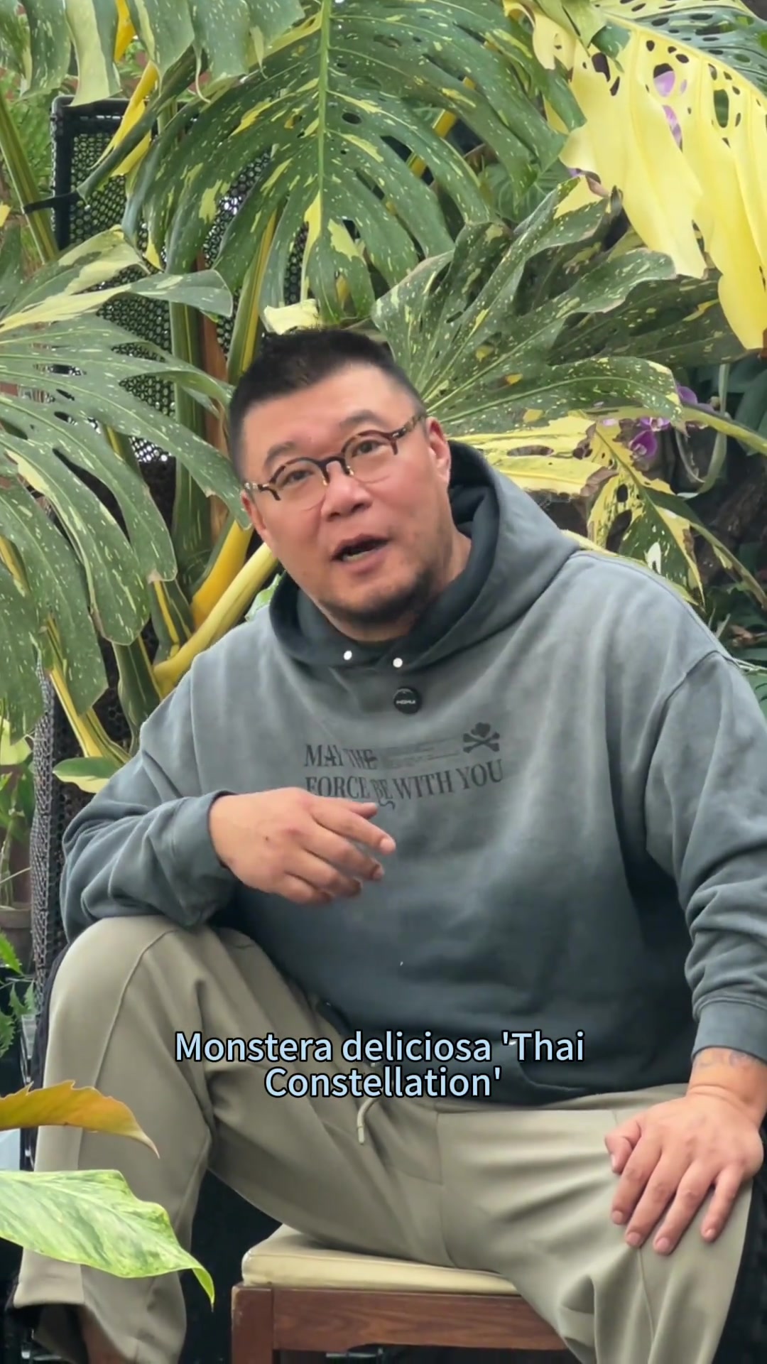 东北人尝试说植物的洋文名，舌头已打结 这些拉丁文和英文的植物学名真的太难说了，不信你们也试