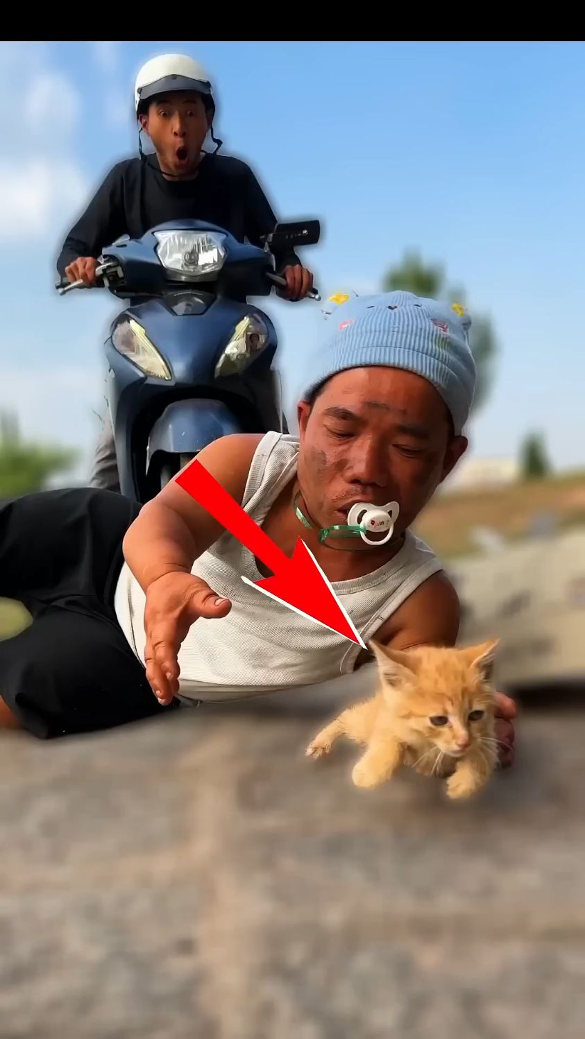 男子救了一只猫,但是蛋糕被压坏了