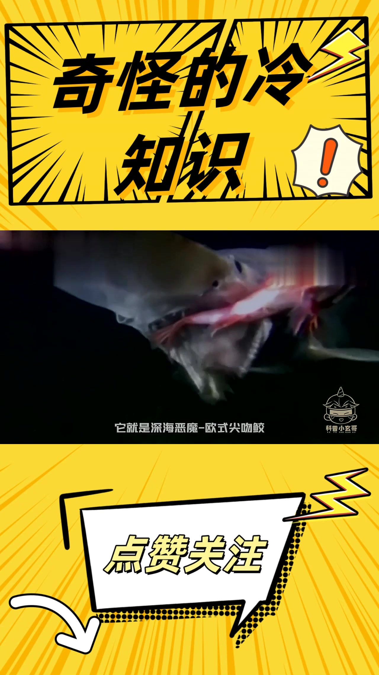 深海长相奇特的10种生物,第七种像电锯,最后一名价比黄金