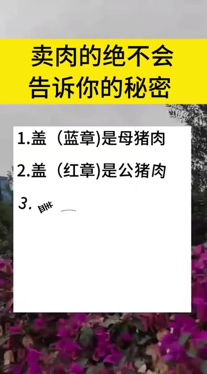 卖肉的绝不会告诉你:盖(蓝章)是母猪肉,盖(红章)是公猪肉
