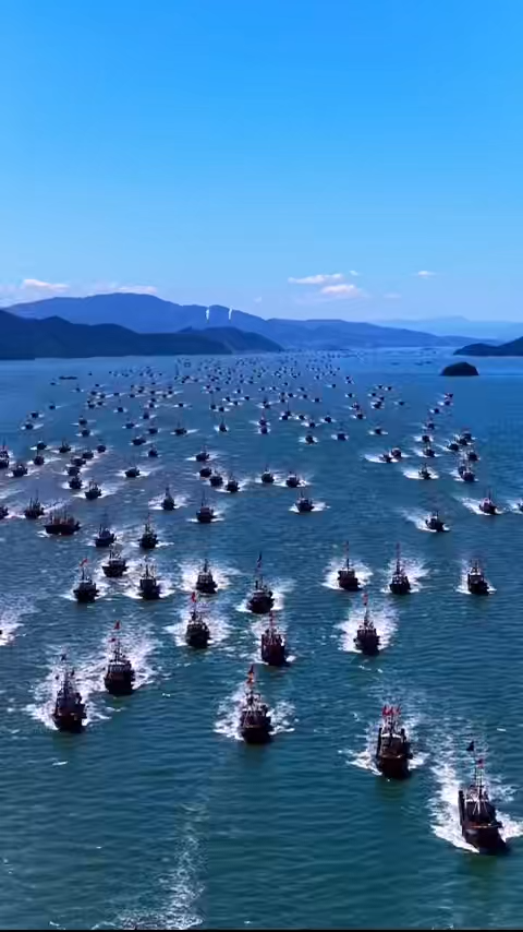 秘鲁鱼粉今日到港,远洋直运,港口销售