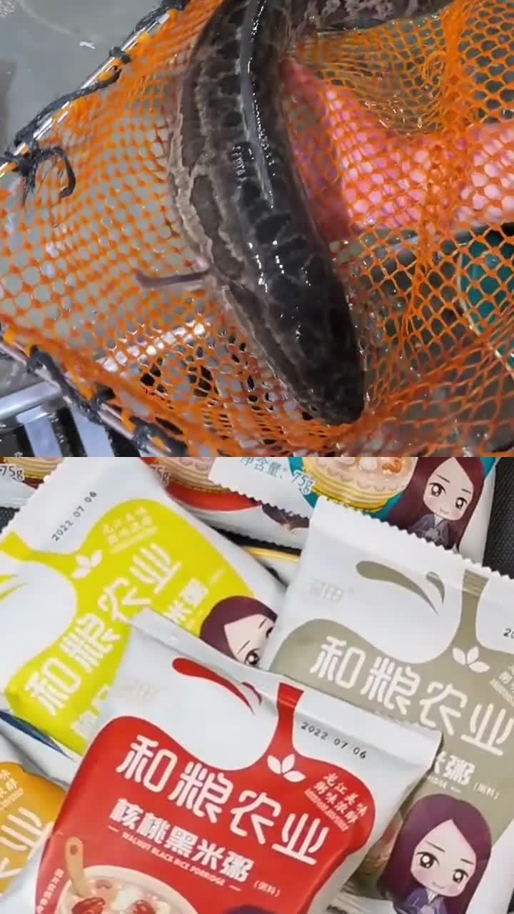 爸妈爱的家常养生菜,食材易买,做法零失败