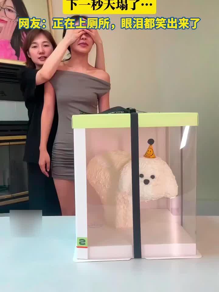 闺蜜生日女生特意买了小狗蛋糕，下一秒天塌了……