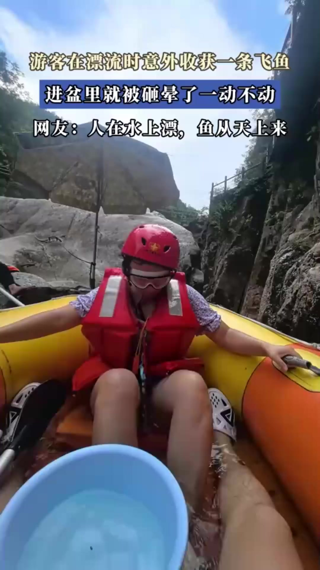 游客在漂流时意外收获一条飞鱼,进盆里就被砸晕了一动不动