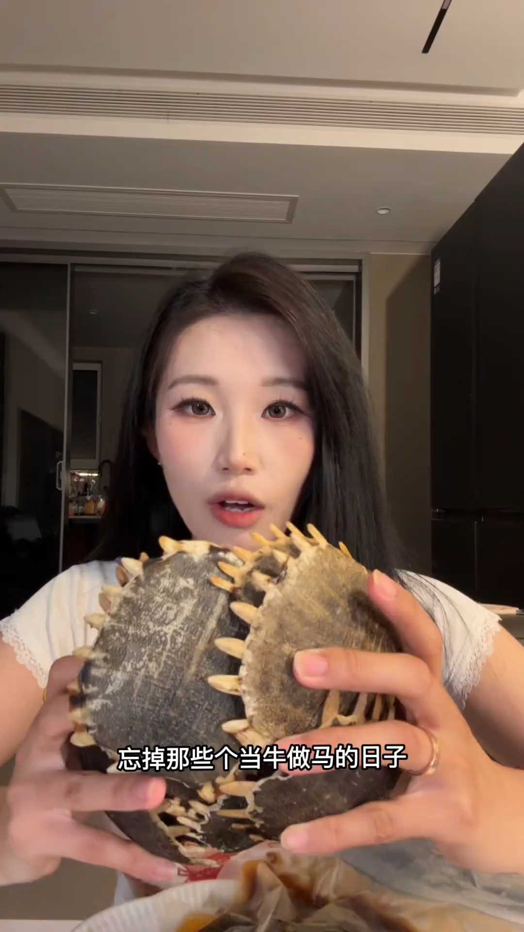 何以解忧 唯有甲鱼