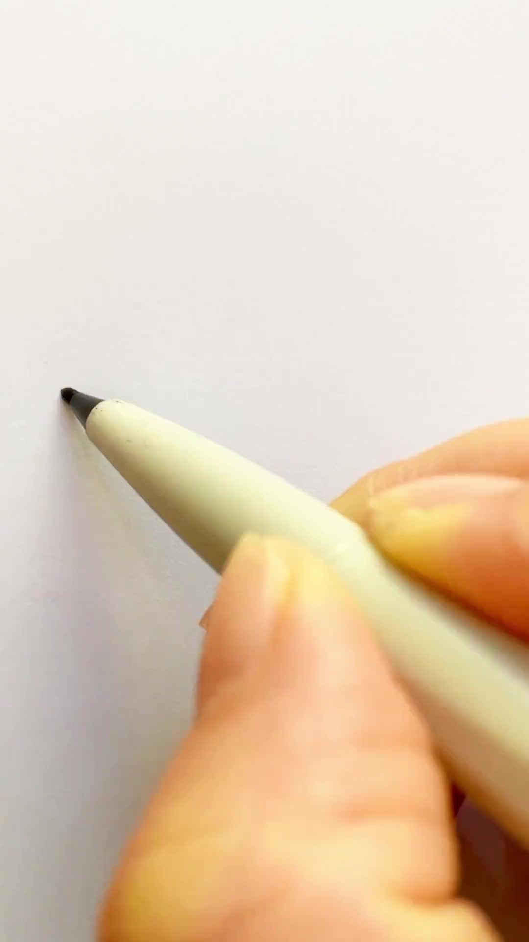 和我一起画大鲨鱼吧