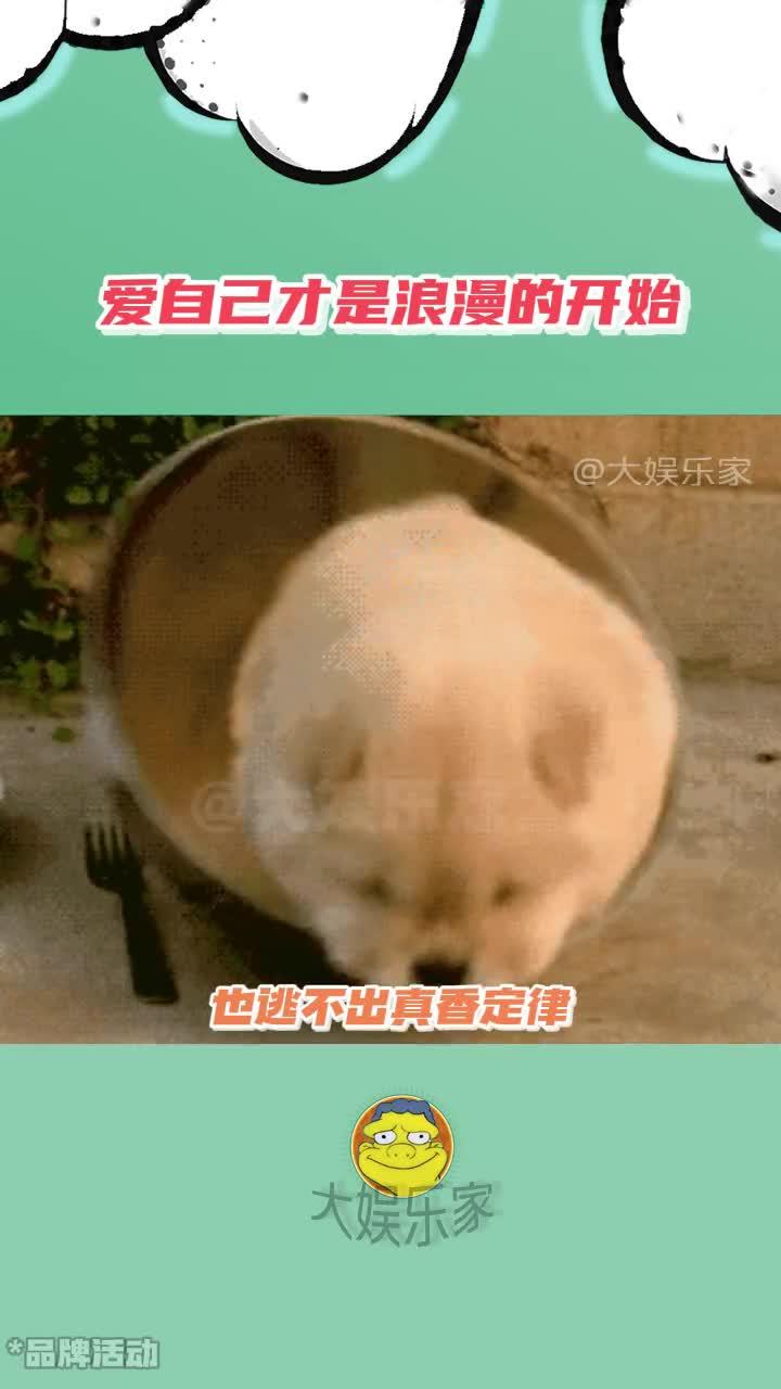 恋爱脑也逃不过真香!让沃尔玛的甜甜小蛋糕治愈你的生活吧!