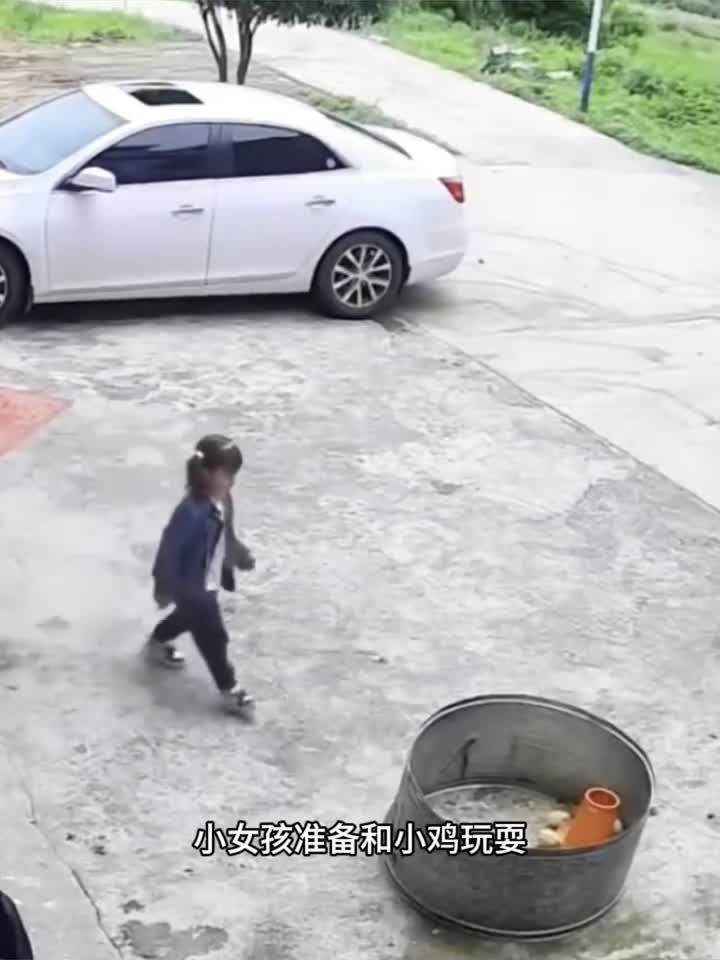 小女孩真调皮,小鸡放跑了