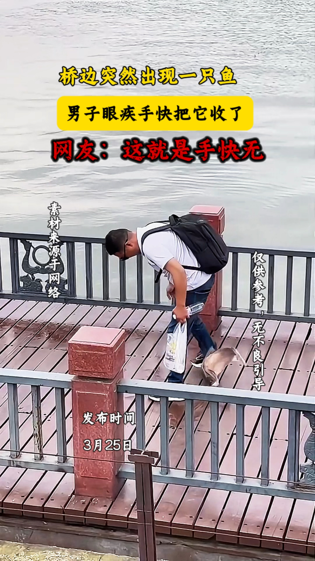 桥边突然出现一只鱼,男子眼疾手快把它收了,网友:手快无