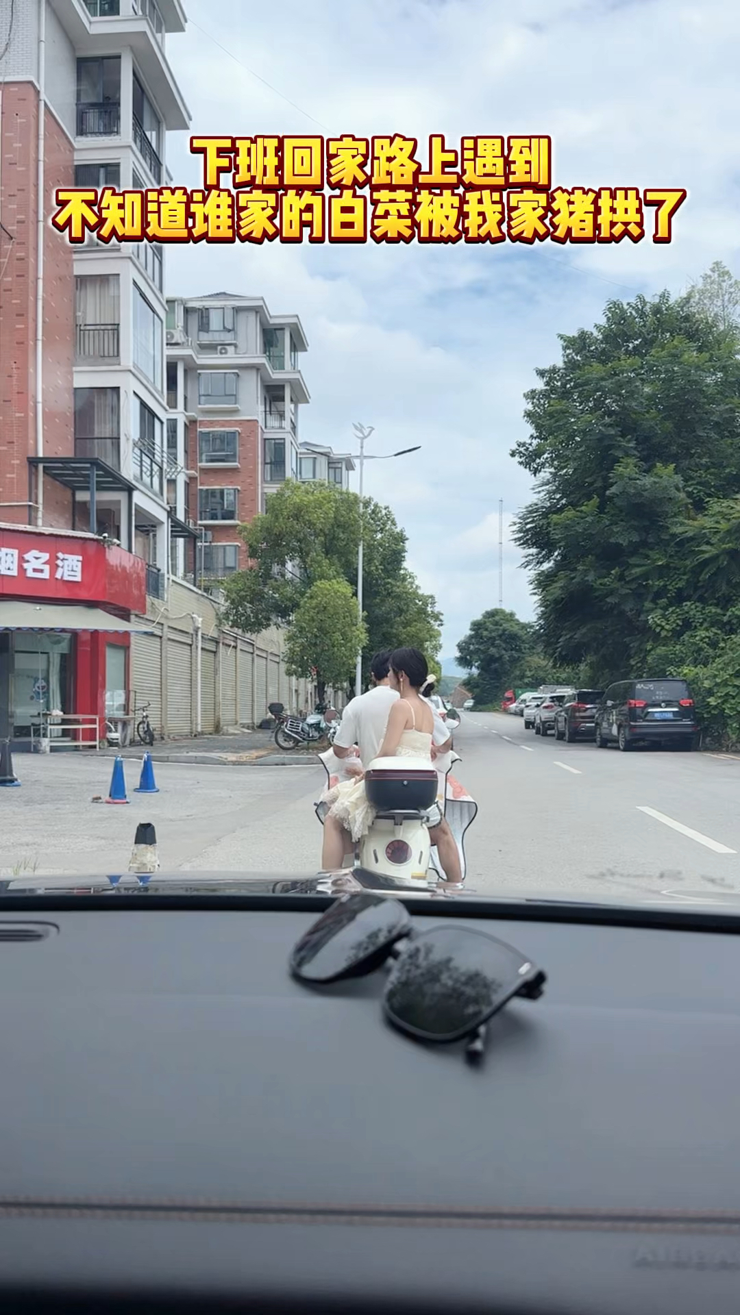 下班回家路上遇到，不知道谁家的白菜被我家猪拱了。