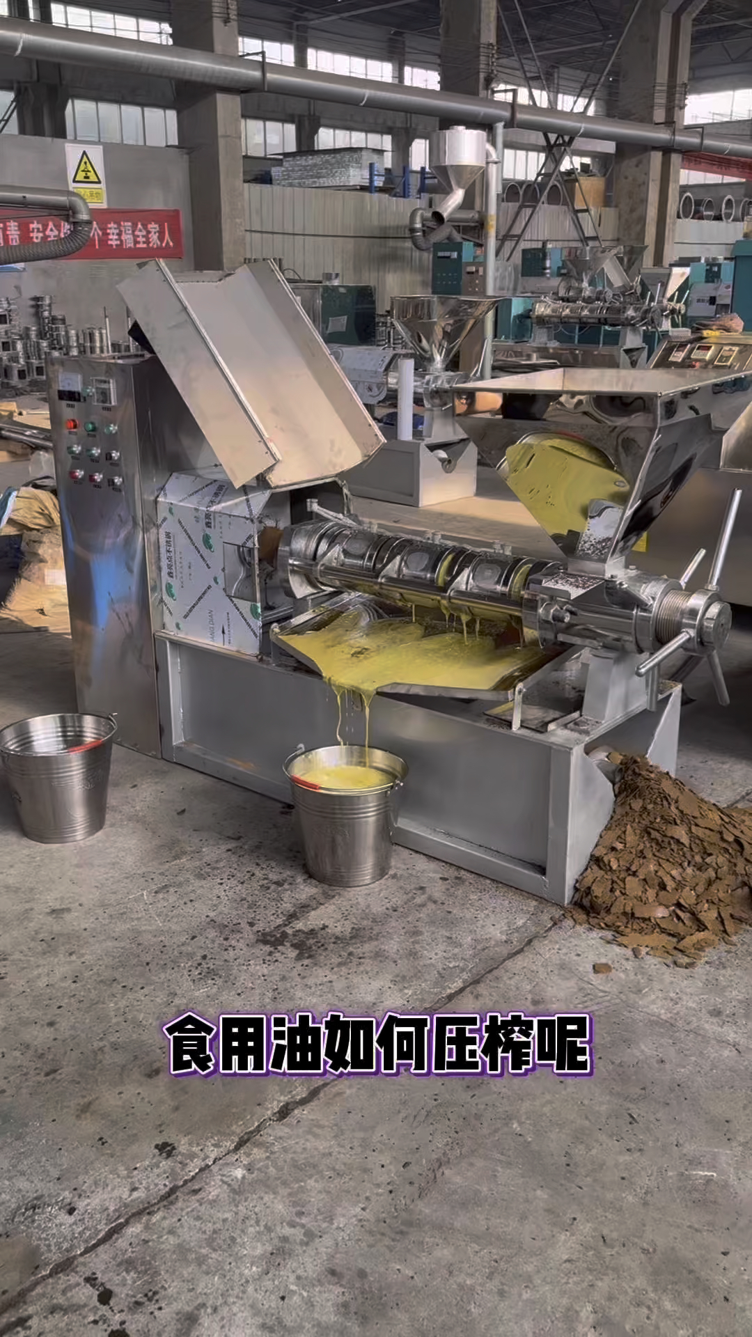 榨油机,食用油榨油机,不锈钢榨油机