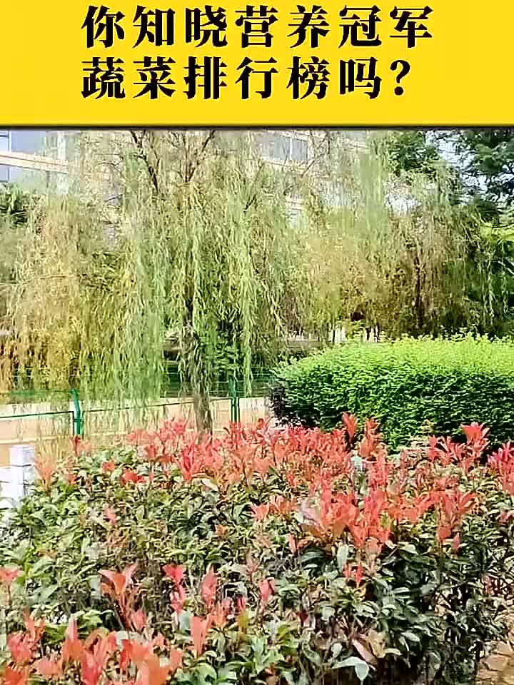 温养藏精气轻调护本源,你知道哪些蔬菜在营养冠军排行榜上名列前