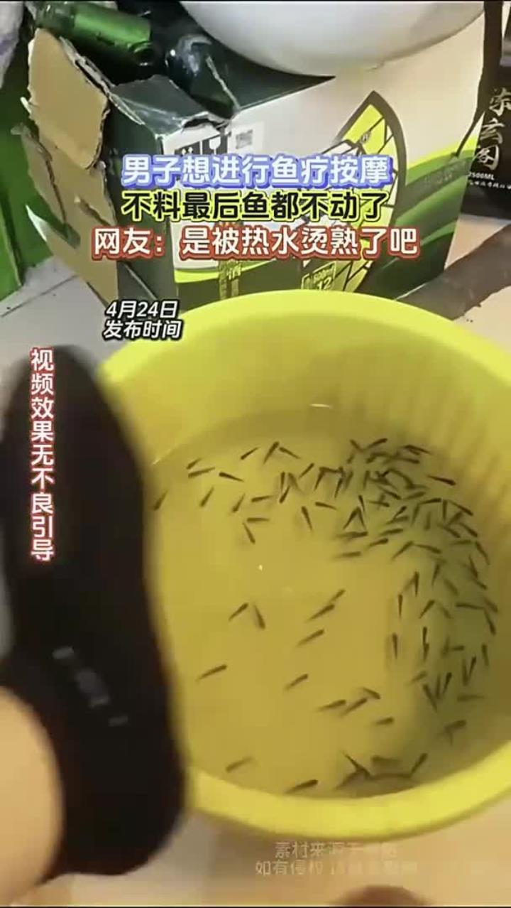 健康指南:鱼疗按摩后鱼不动了