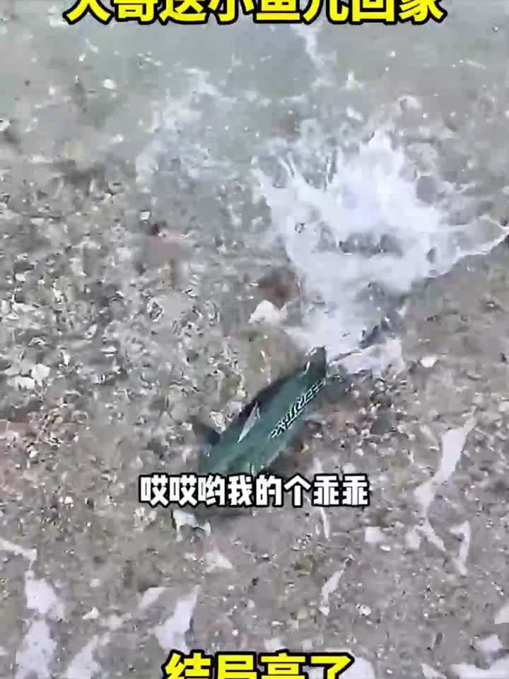 大哥送小鱼儿回家，结局亮了