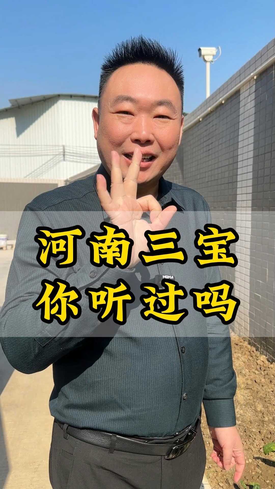 河南青菜有三宝你听说过吗?