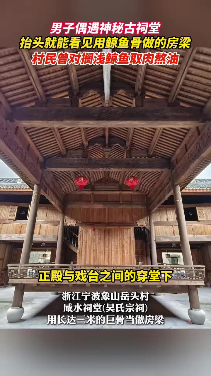 浙江神秘的古祠堂用鲸鱼骨做房梁,村民曾对搁浅鲸鱼取肉熬油