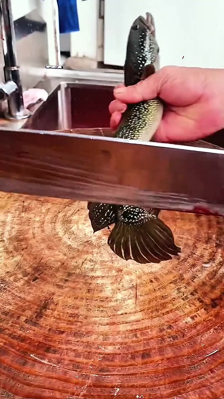 你知道如何用黑鱼做生鱼片吗?