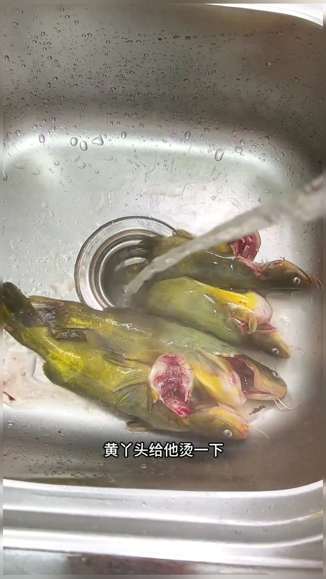 四分钟搞定的黄骨鱼焖豆腐 真的很香！美食推荐官