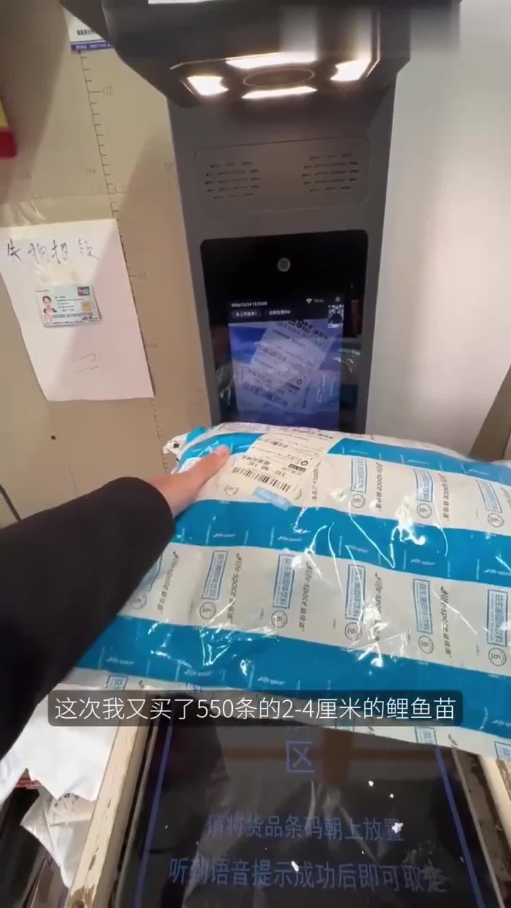 放生555条鲤鱼苗，鱼是对了，可是……