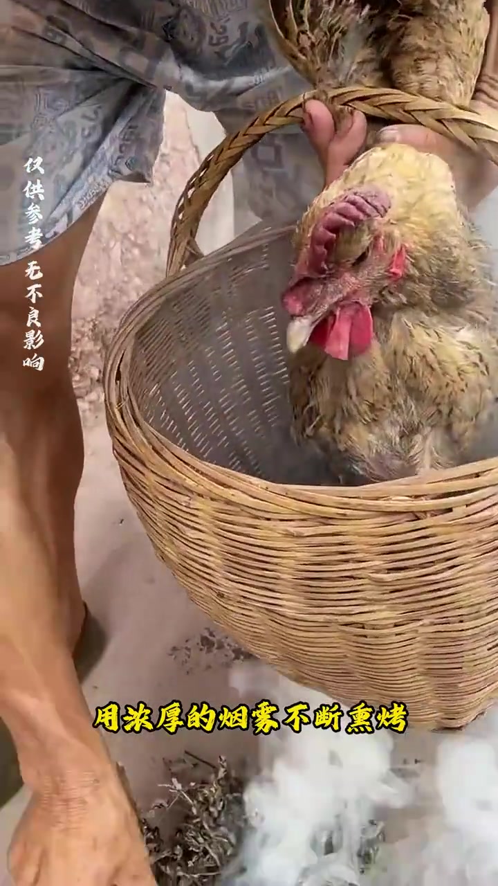 将小鸡放在浓烟的火堆上烤，竟是为了给它们去除害虫，你知道吗？