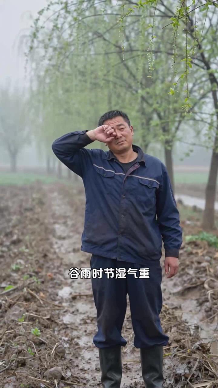 谷雨多吃山药冬瓜薏米,健脾祛湿顺应时节养生